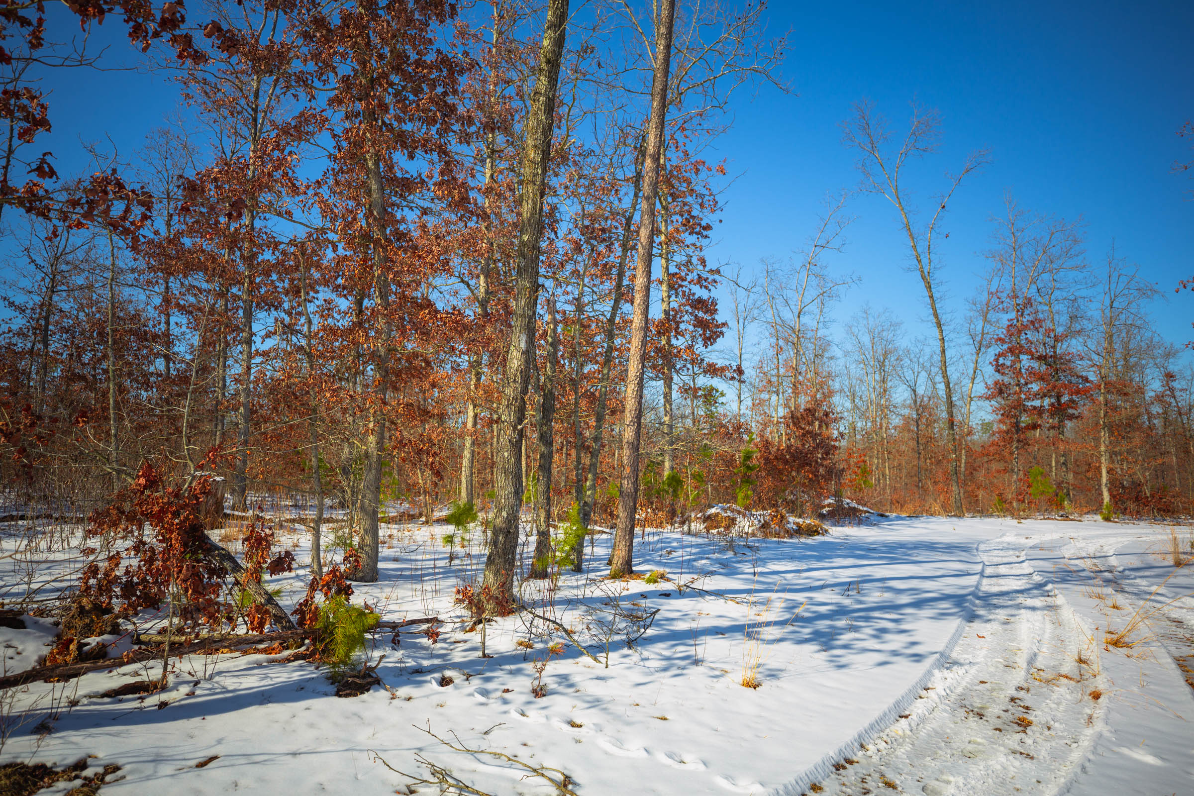 Tract 12 at Sleepy Hollow Phase I in Texas County, Missouri