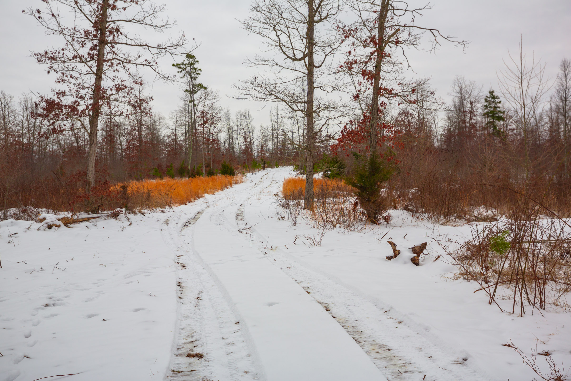 Tract 16 at Sleepy Hollow Phase I in Texas County, Missouri