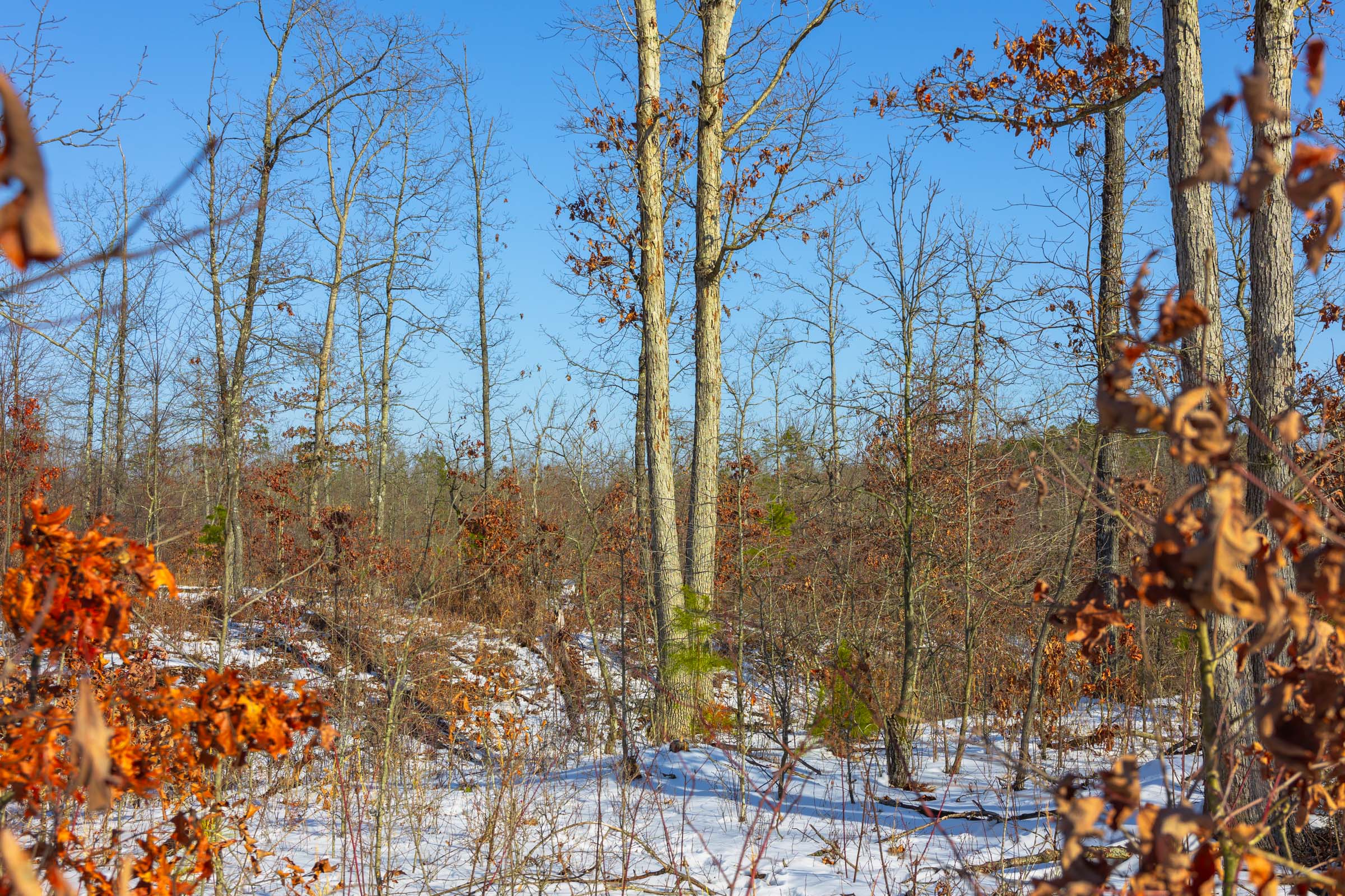 Tract 30 at Sleepy Hollow Phase I in Texas County, Missouri