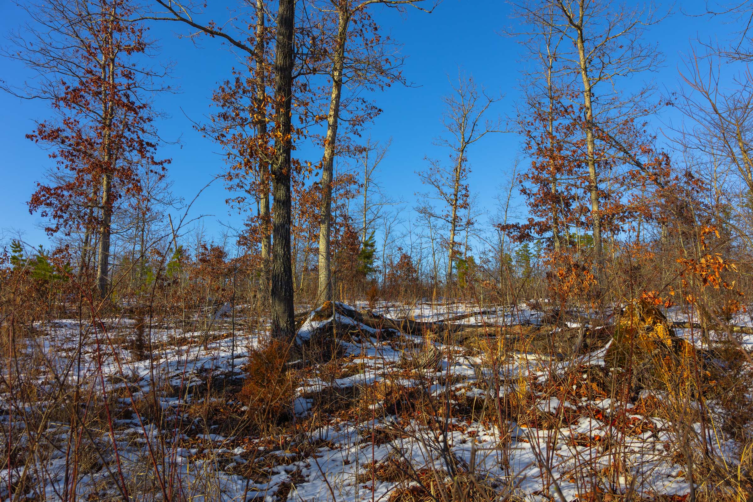 Tract 32 at Sleepy Hollow Phase I in Texas County, Missouri