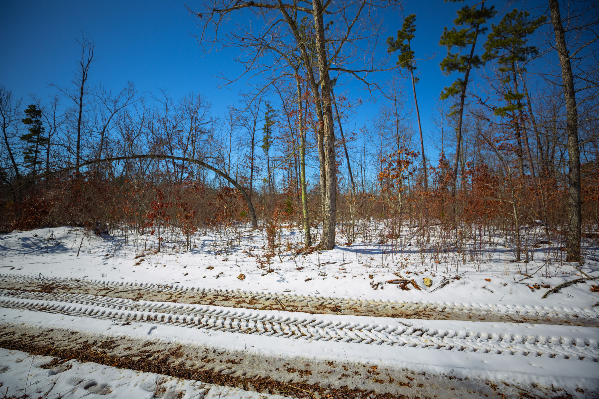 Tract 33 at Sleepy Hollow Phase I in Texas County, Missouri