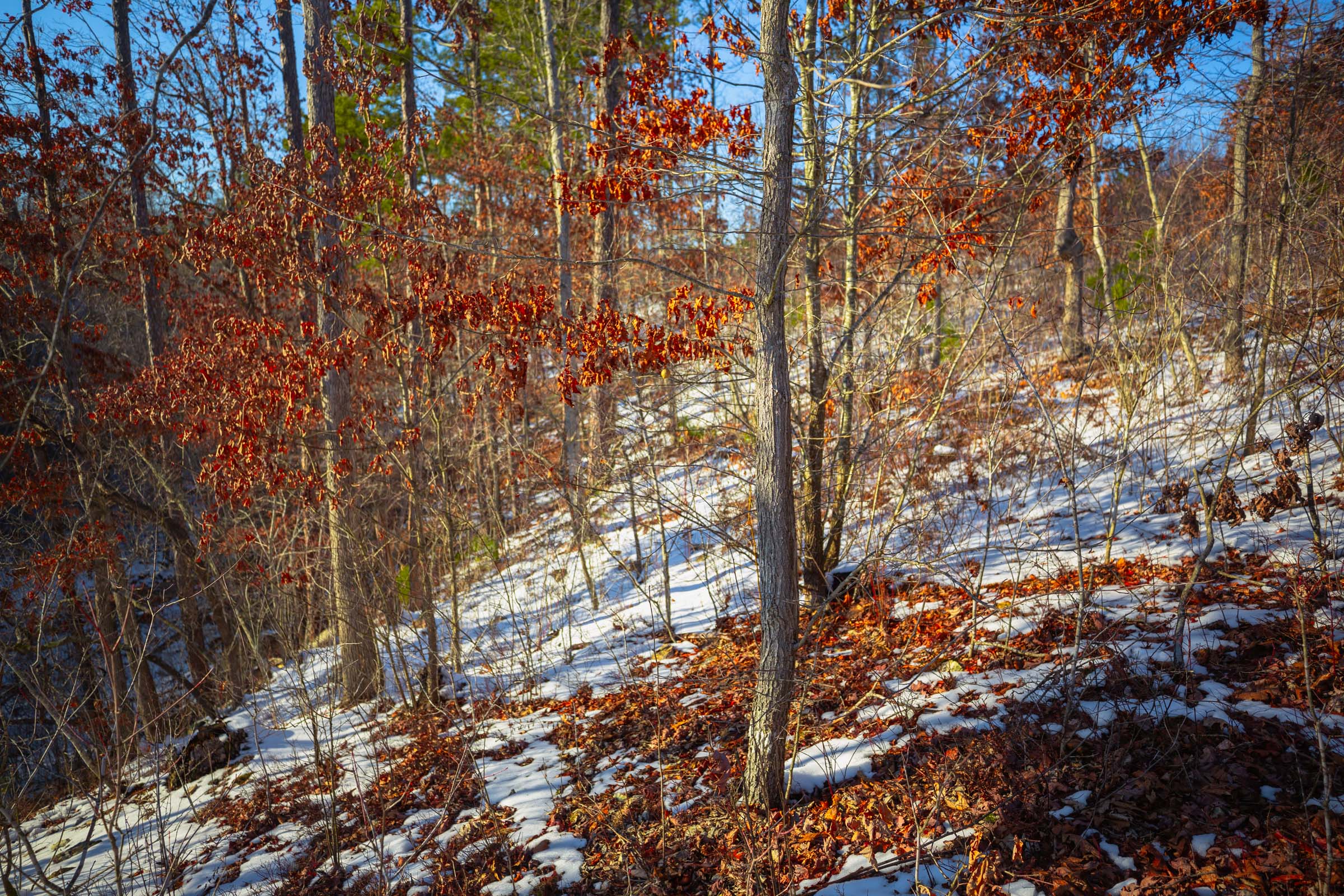 Tract 36 at Sleepy Hollow Phase I in Texas County, Missouri