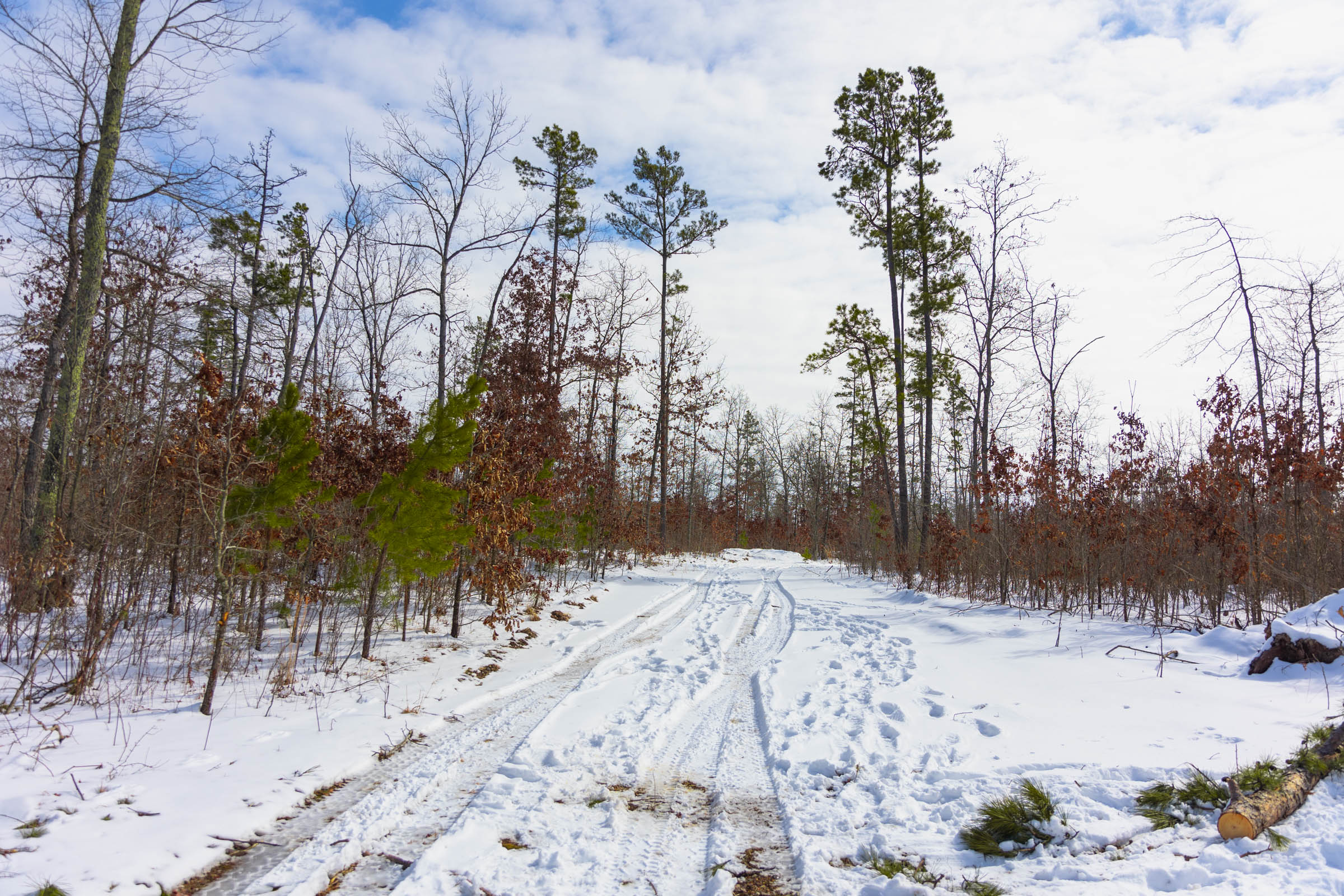 Tract 4 at Sleepy Hollow Phase I in Texas County, Missouri