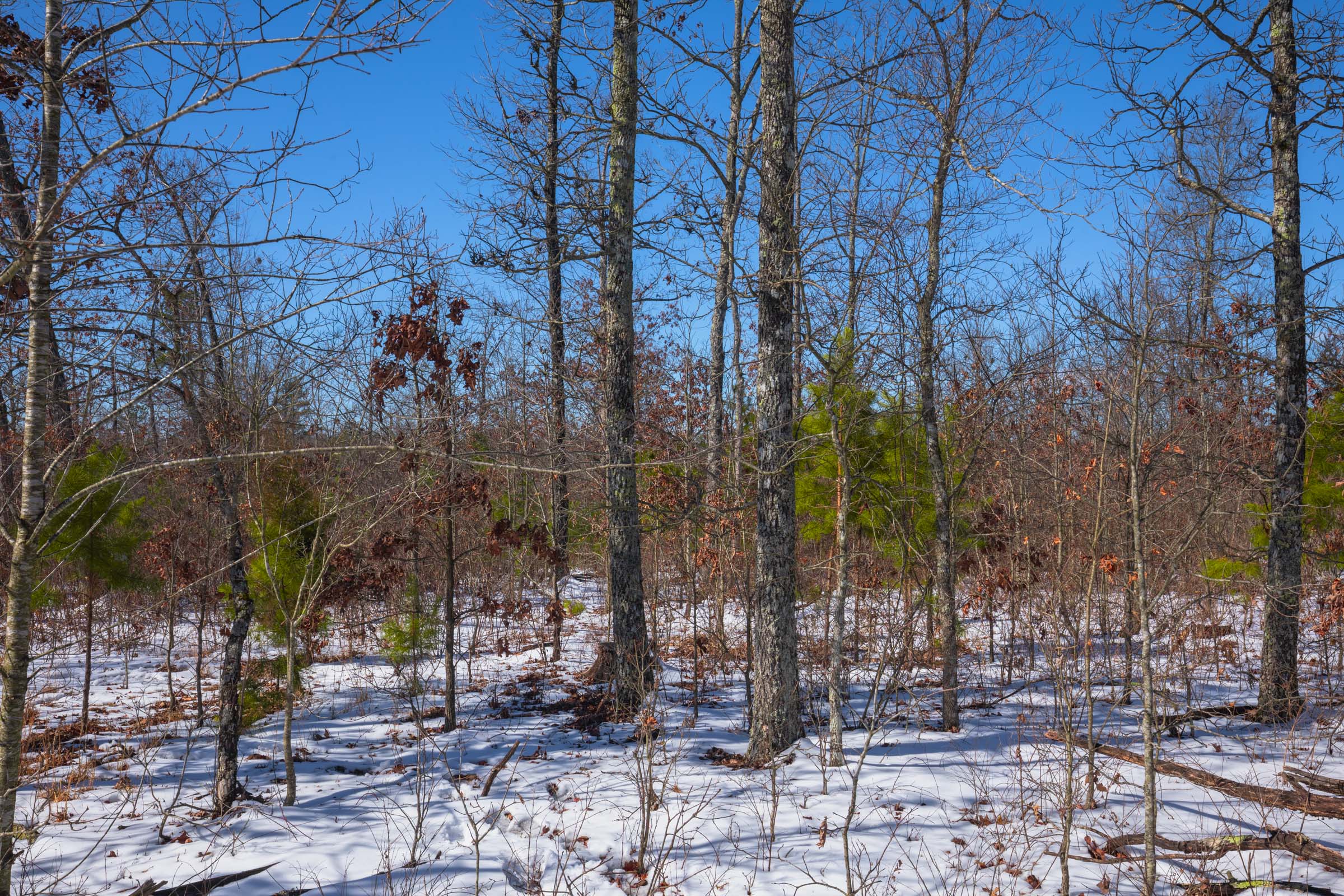 Tract 40 at Sleepy Hollow Phase I in Texas County, Missouri