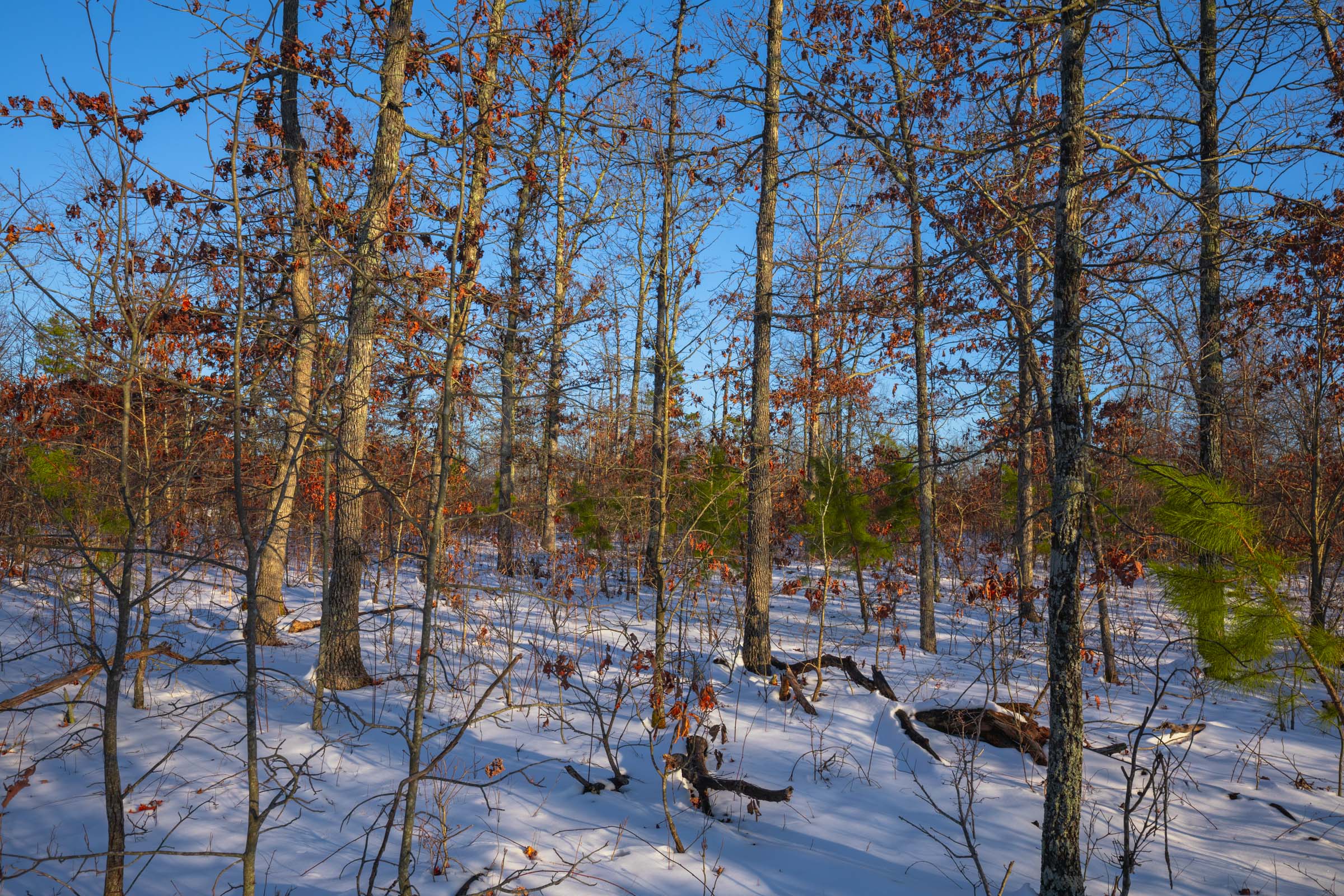 Tract 41 at Sleepy Hollow Phase I in Texas County, Missouri