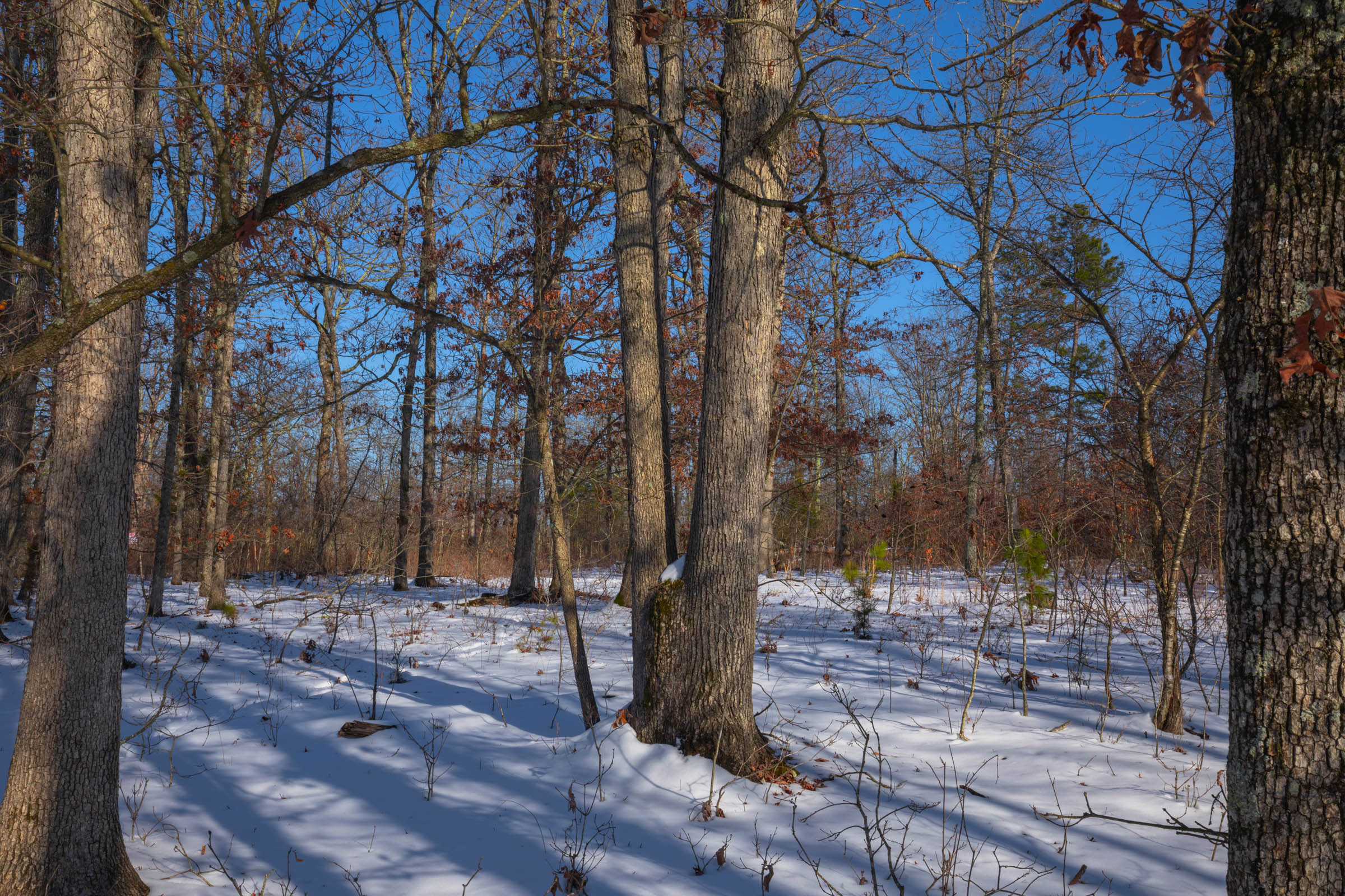 Tract 44 at Sleepy Hollow Phase I in Texas County, Missouri