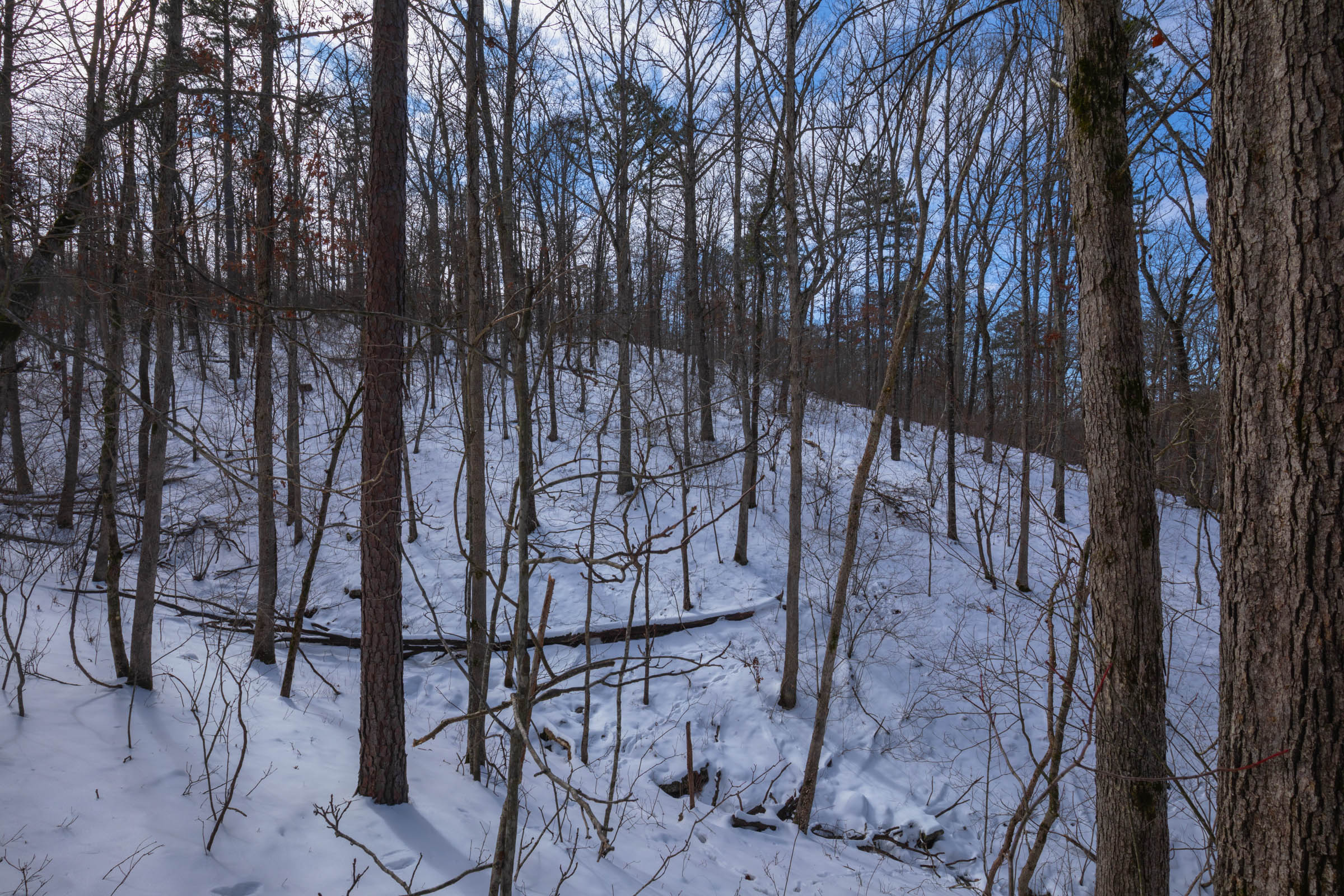 Tract 47 at Sleepy Hollow Phase I in Texas County, Missouri