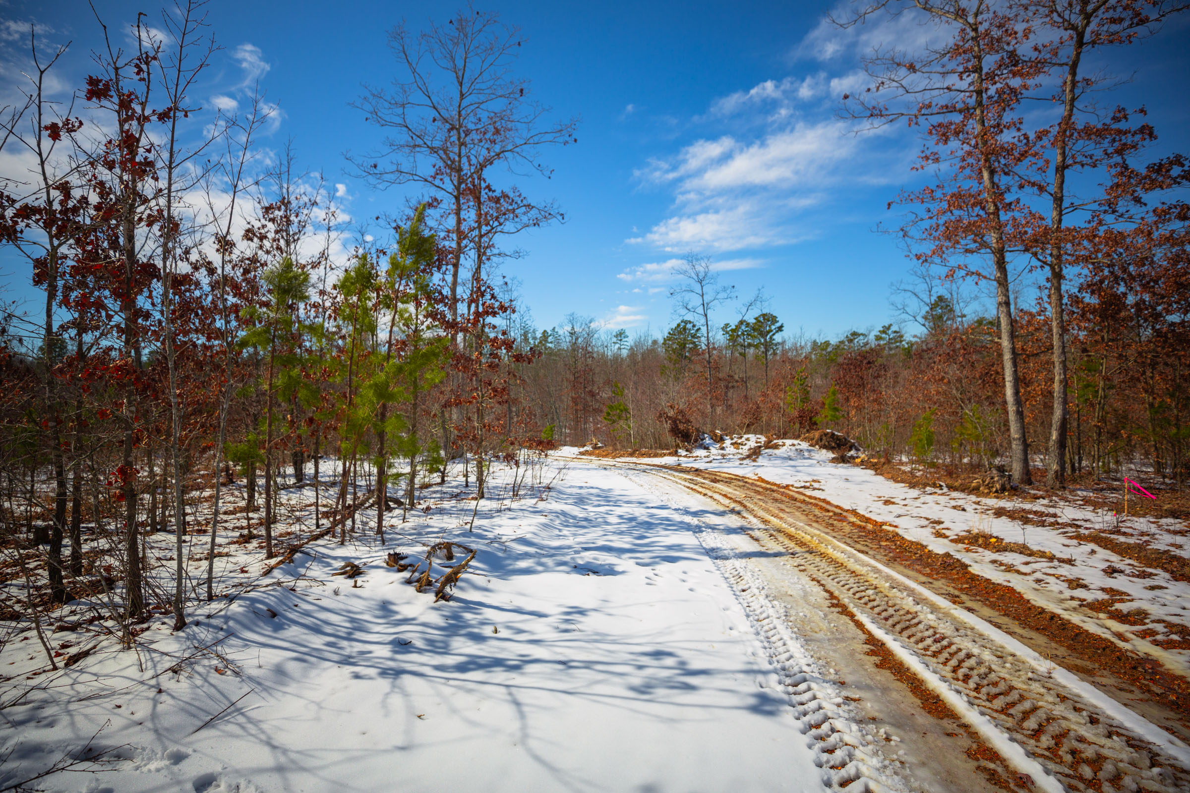 Tract 59 at Sleepy Hollow Phase I in Texas County, Missouri
